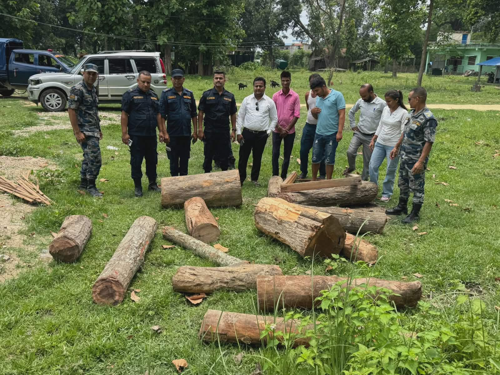 अवैध काठ तस्करी नियन्त्रणमा सुरक्षा निकाय सक्रिय, २० क्यु फिट सालको काठ बरामद