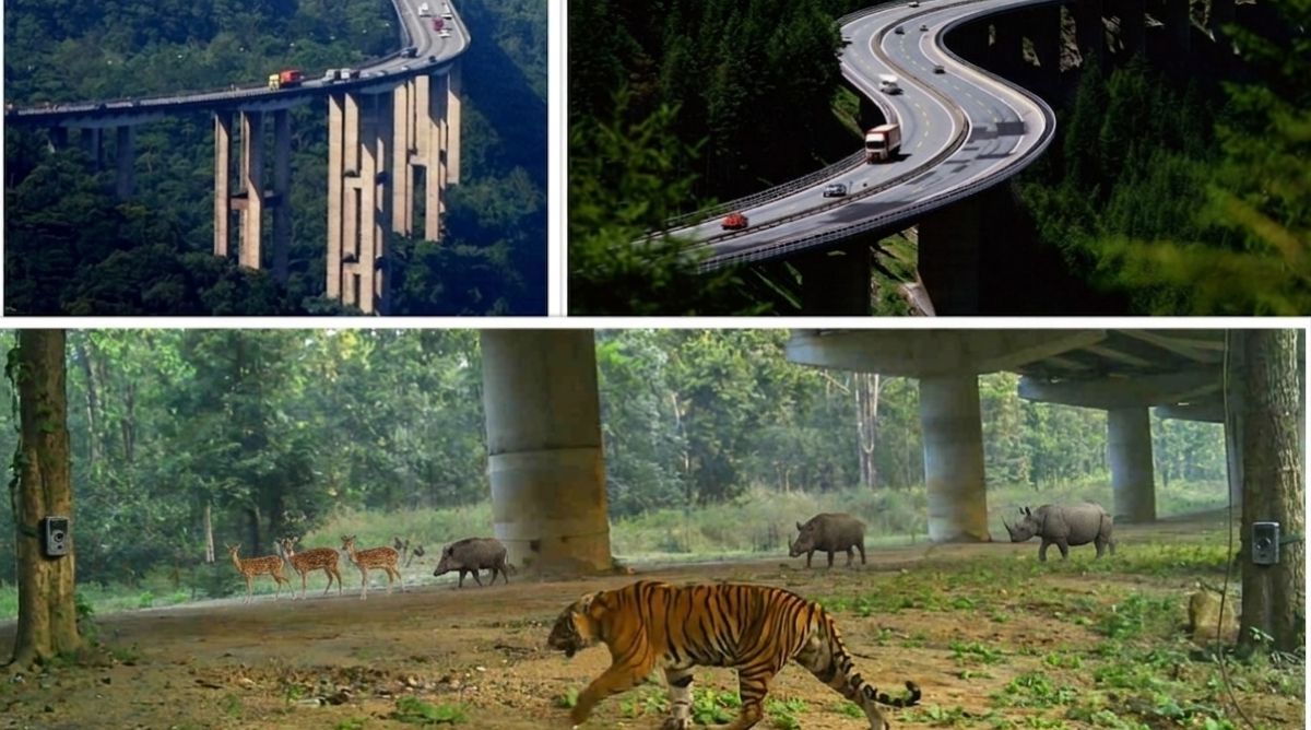 ५४ अर्बको लागतमा बन्ने नेपालकै पहिलो ‘वन्यजन्तुमैत्री’ फ्लाईओभर