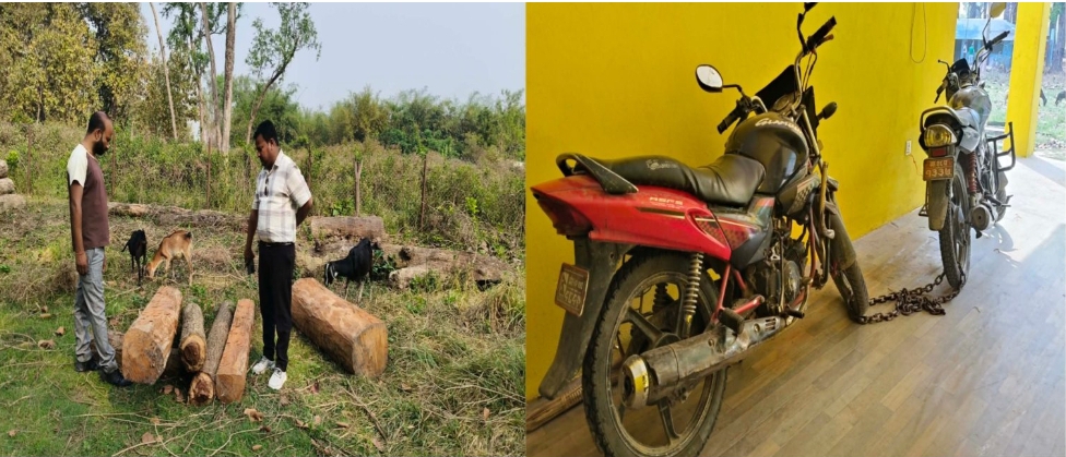 सबैया जंगलमा अवैध काठ तस्करी प्रयास असफल, काठ र मोटरसाइकल नियन्त्रणमा