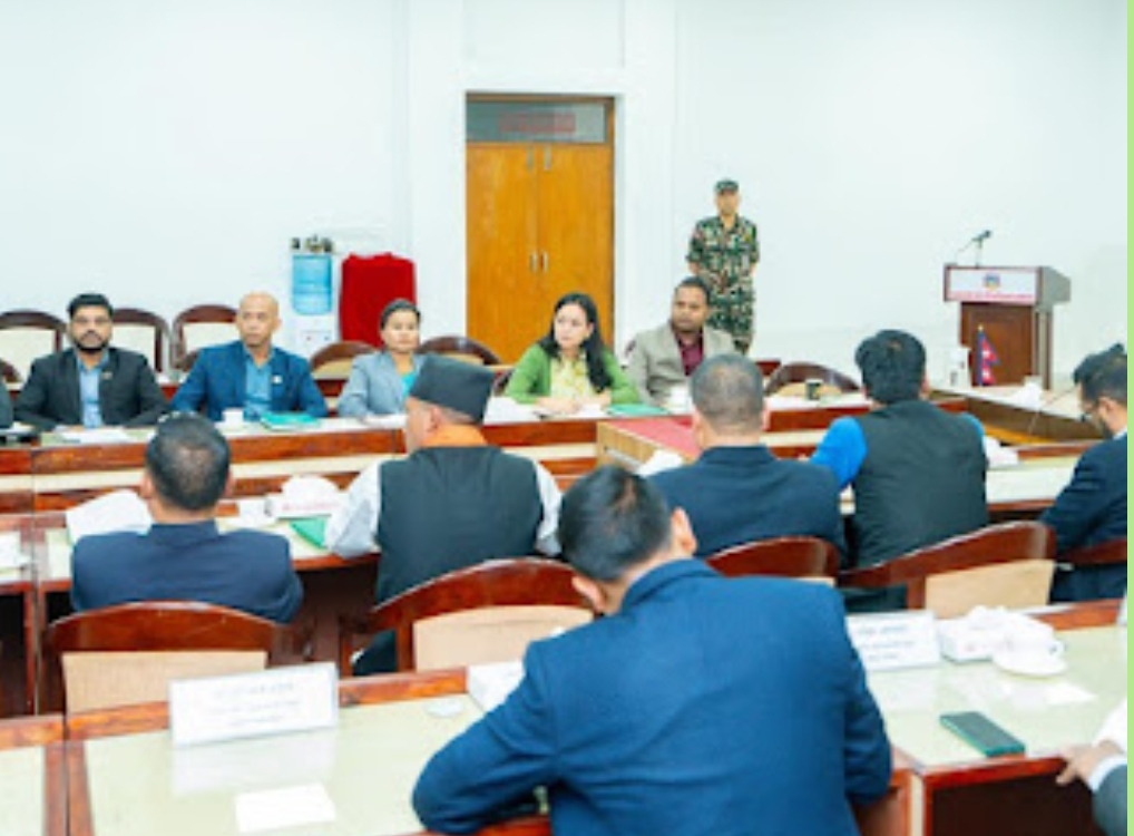 संसद पन्तले प्रधानमन्त्री समक्ष राखे सिर्सिया नदि , क्यासिनो , मल खाद र महानगरको अबैद्व असुलिको बिषय ।