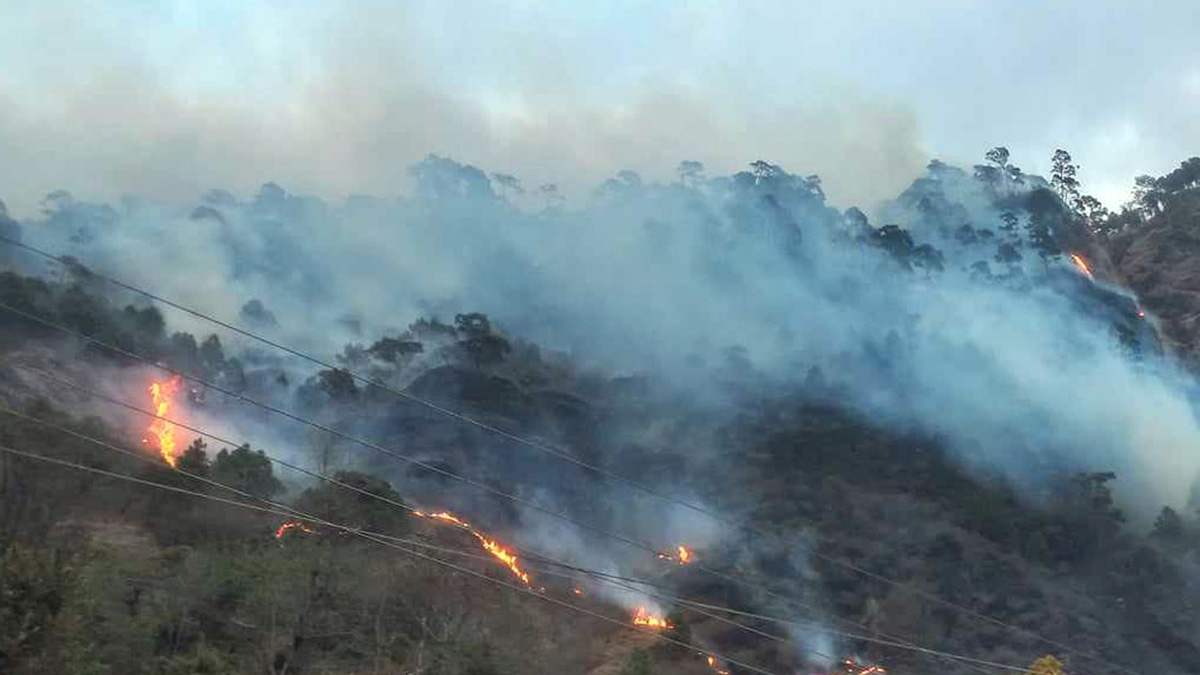रेसुङ्गा विमानस्थलबाट सातामा चार उडान, भाडादर पनि वृद्धि